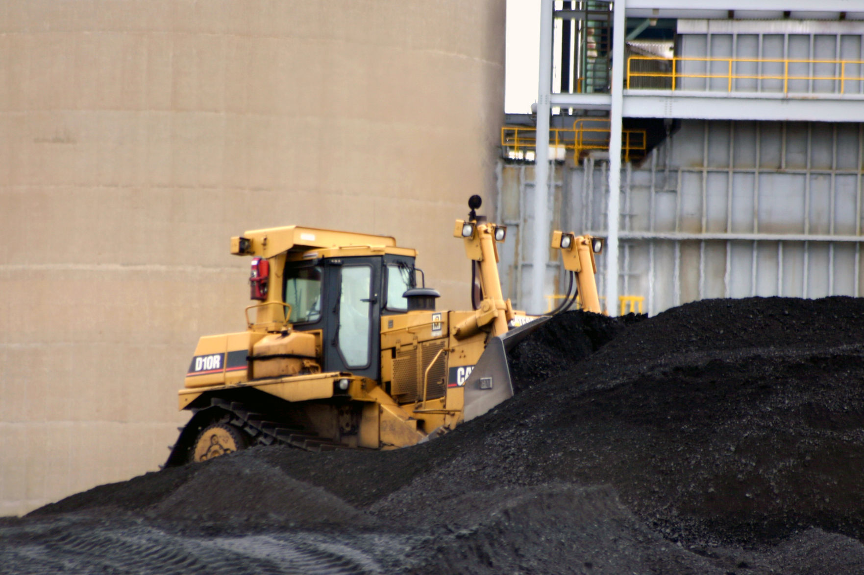 Coal